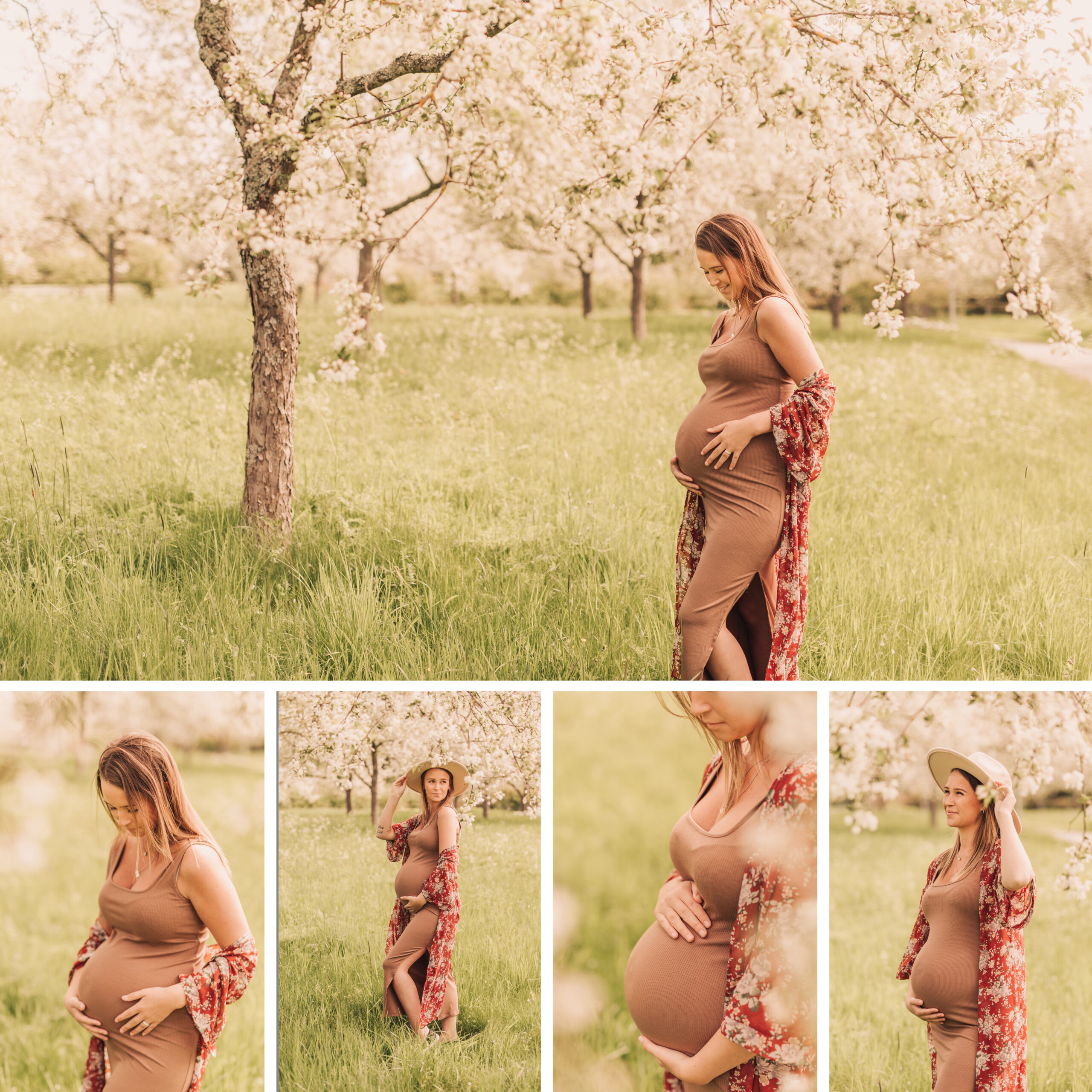 Bohemisk gravidfotografering bland äppelträden